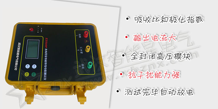 水內(nèi)冷發(fā)電機(jī)絕緣電阻測(cè)試儀